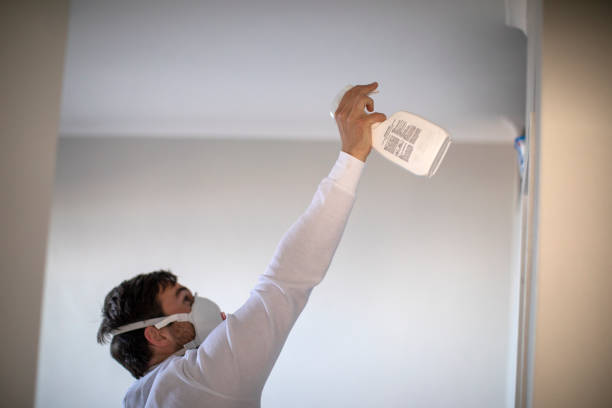 Best Mold Remediation  in Media, PA